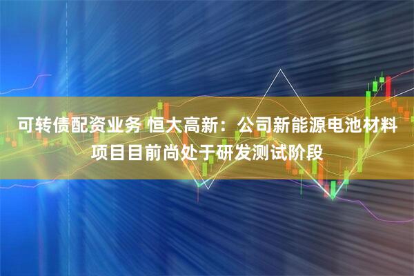 可转债配资业务 恒大高新：公司新能源电池材料项目目前尚处于研发测试阶段