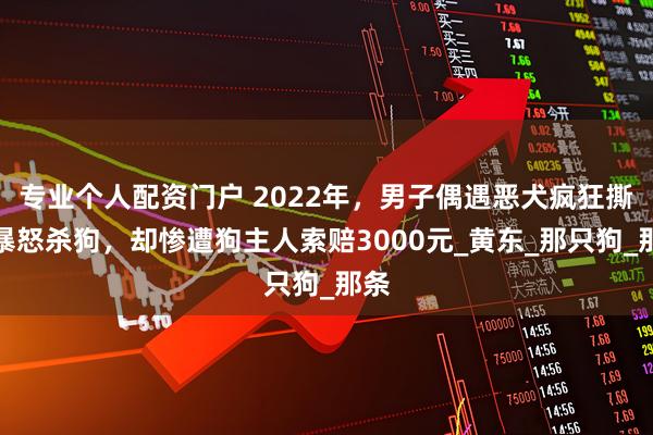 专业个人配资门户 2022年，男子偶遇恶犬疯狂撕咬暴怒杀狗，却惨遭狗主人索赔3000元_黄东_那只狗_那条