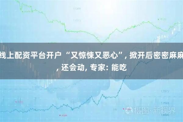 线上配资平台开户 “又惊悚又恶心”, 掀开后密密麻麻, 还会动, 专家: 能吃