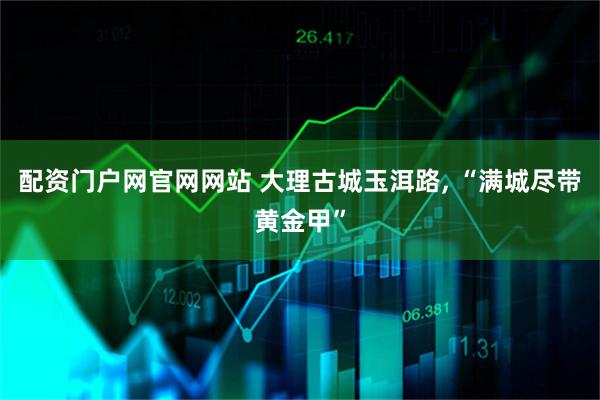 配资门户网官网网站 大理古城玉洱路, “满城尽带黄金甲”